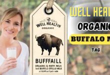 wellhealthorganic