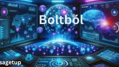 Boltból